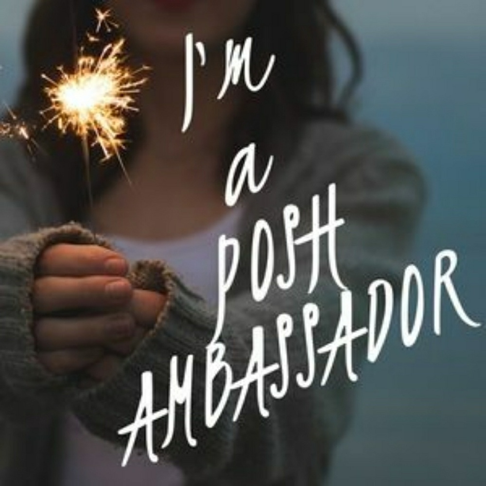 Ambassador 1/28/18